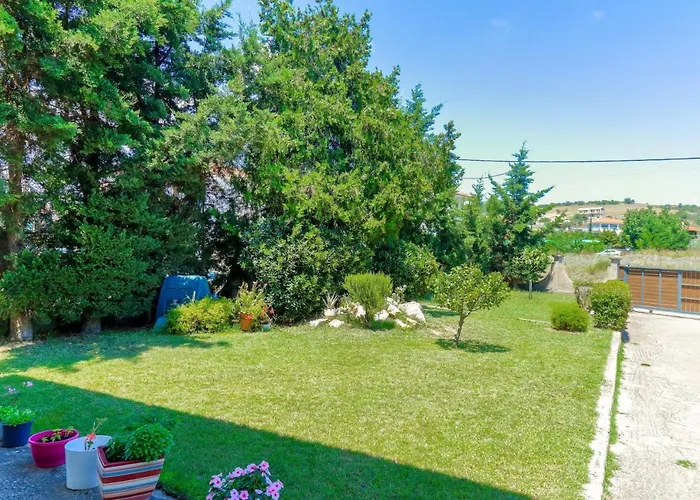 Deppy's Houwe 尼基季